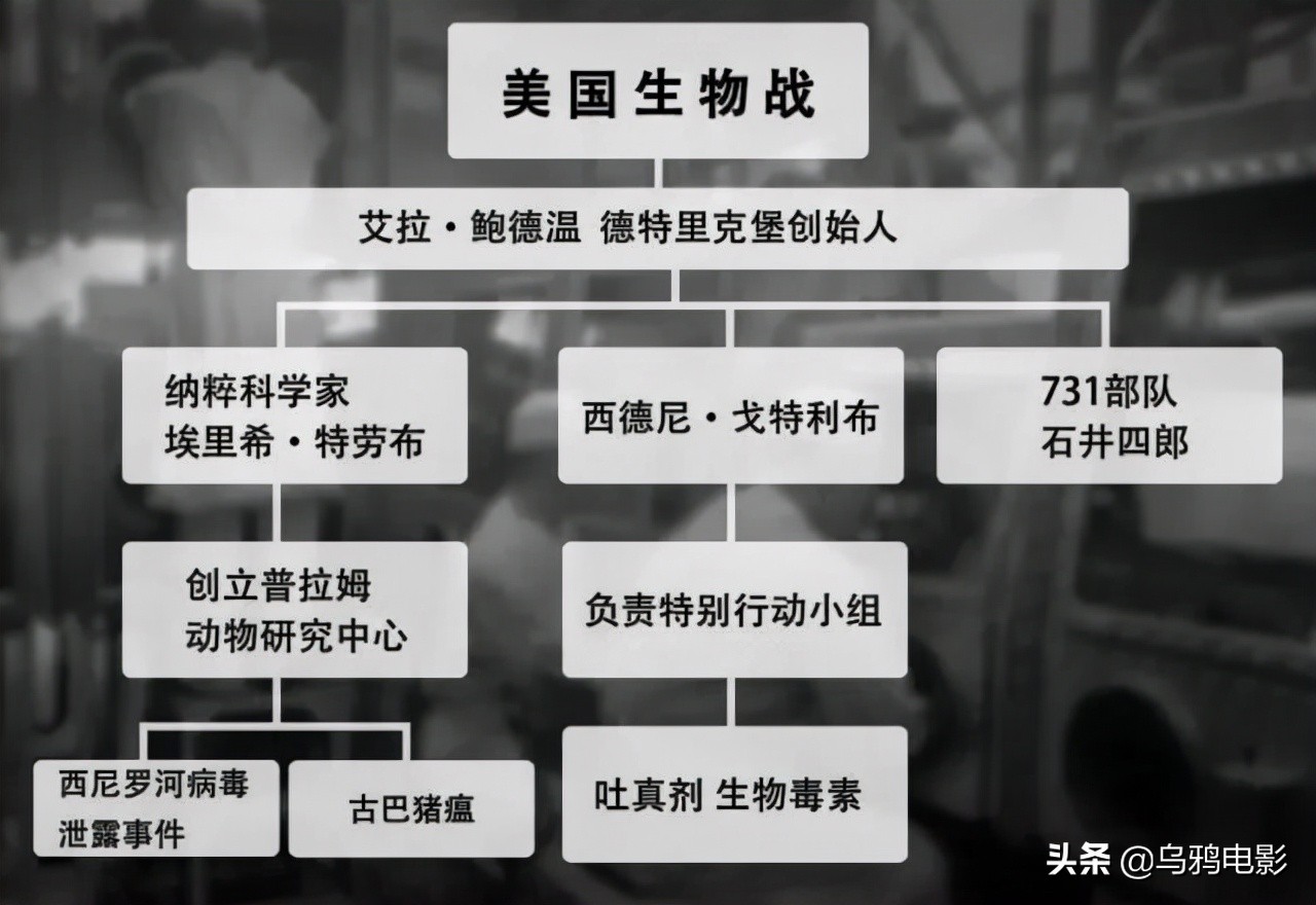 真实的骇人事件,盘点那些没见过的细思极恐片