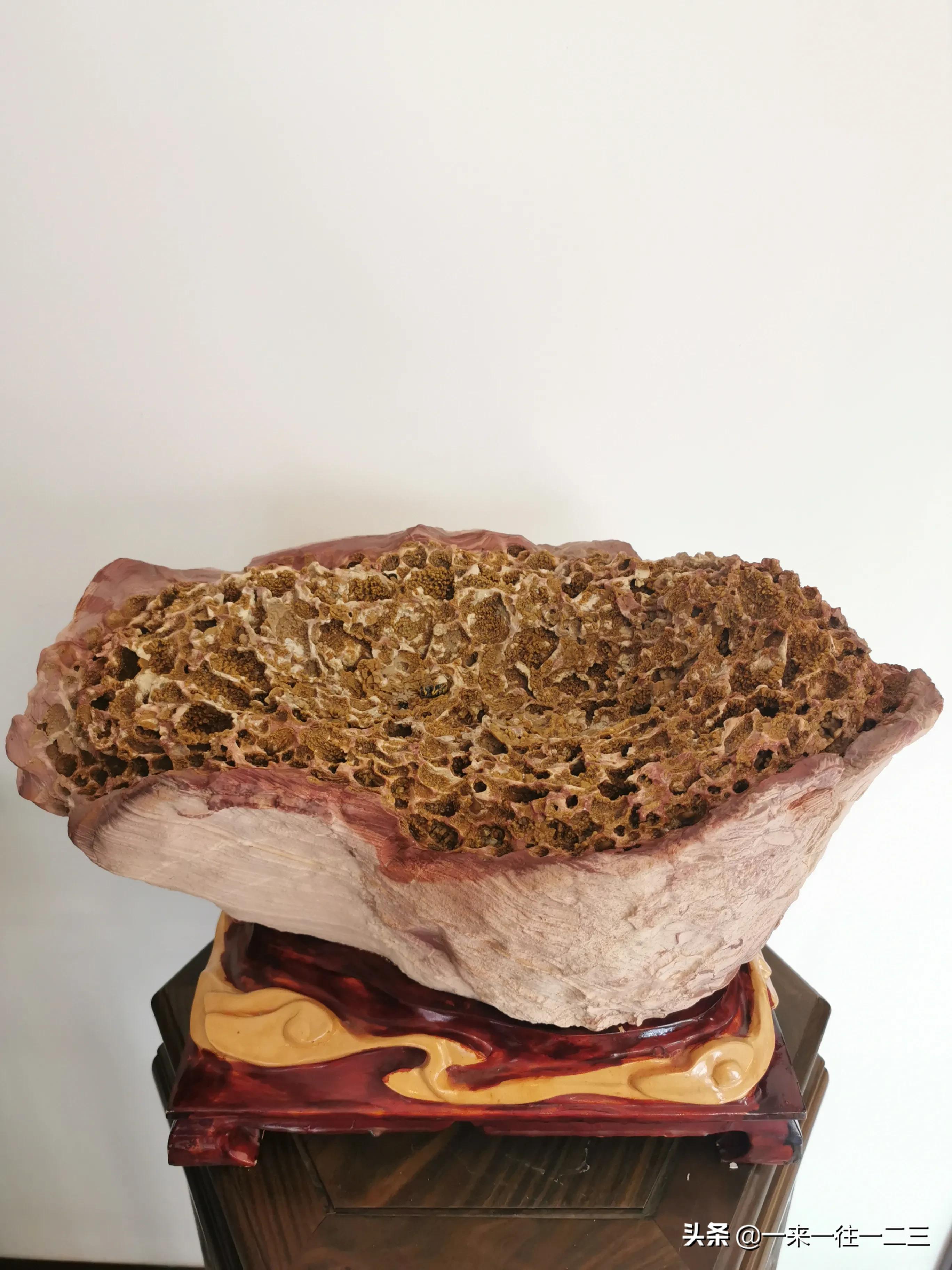 《蜂巢》一一以石道赏,吾之天然奇石赏品说(之三十七)