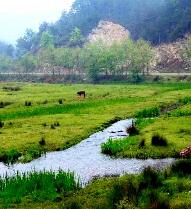 信阳十大旅游乡村,信阳周边乡村旅游景点推荐