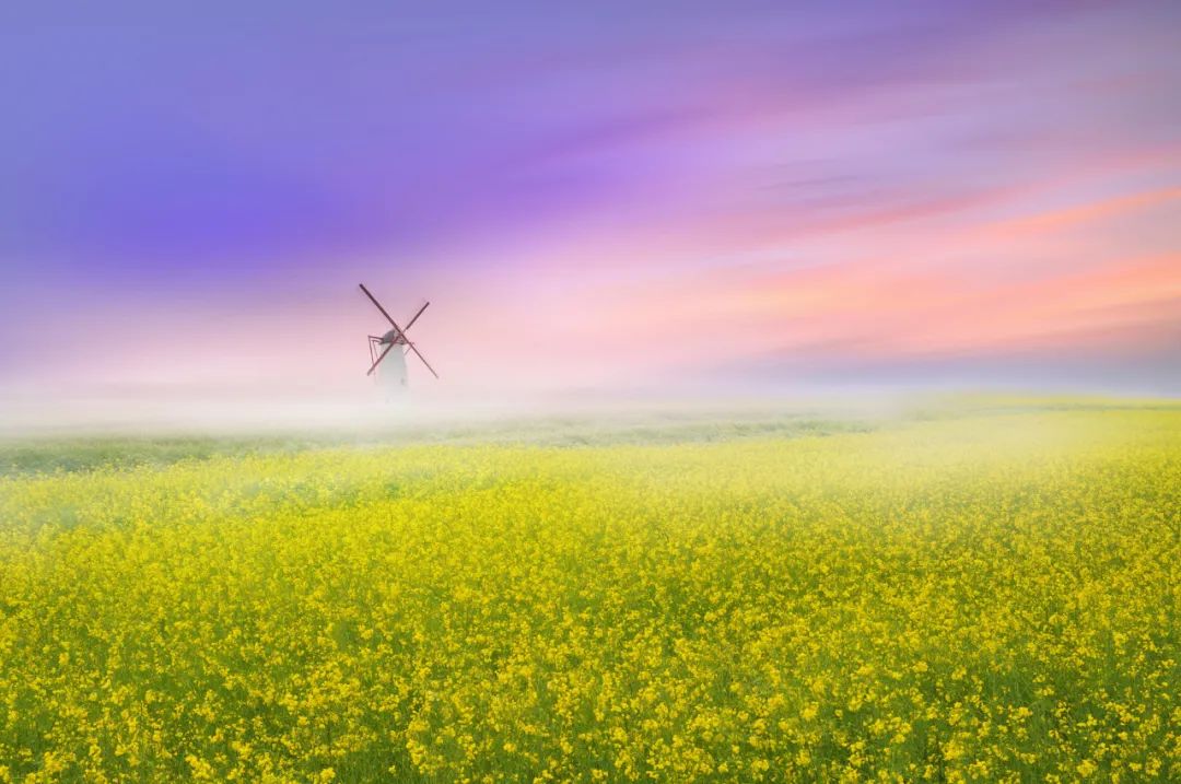 100首经典晚春诗词,十首春天诗词许你一场春暖花开