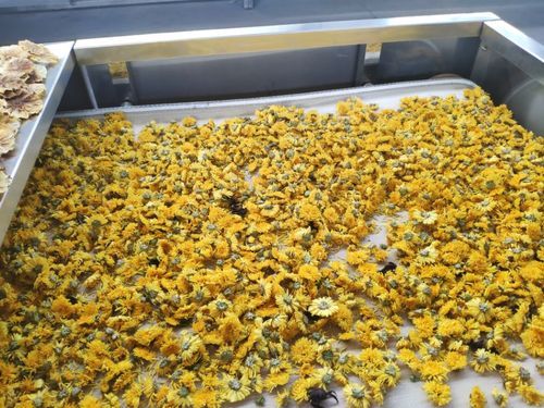 大型节能菊花专用烘干设备,开封金银花空气能烘干机设备