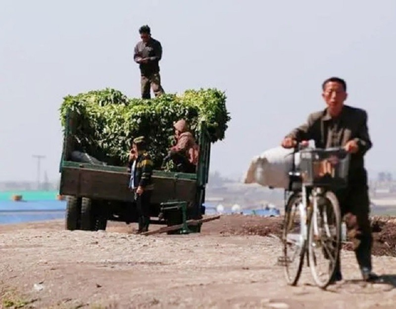 朝鲜唯一的国际机场：不能拍照，麻雀虽小五脏俱全，虎骨酒9美元