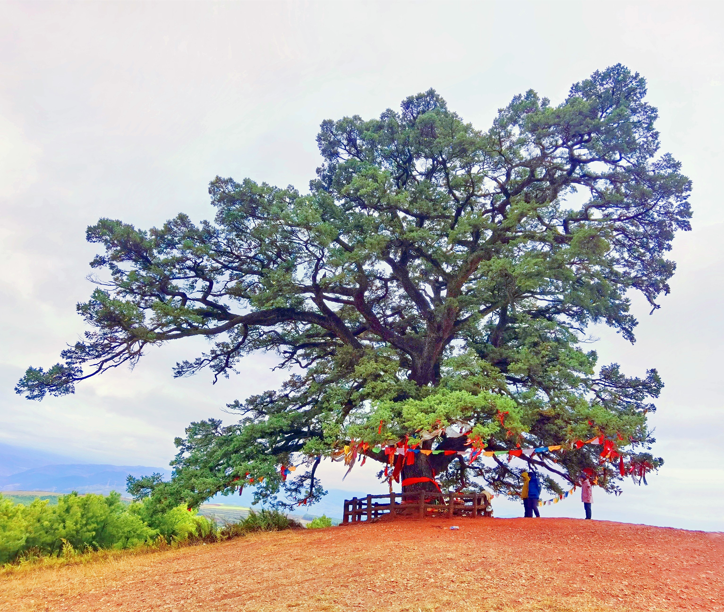 东川风景调色板,云南东川红土地上帝打翻了调色盘