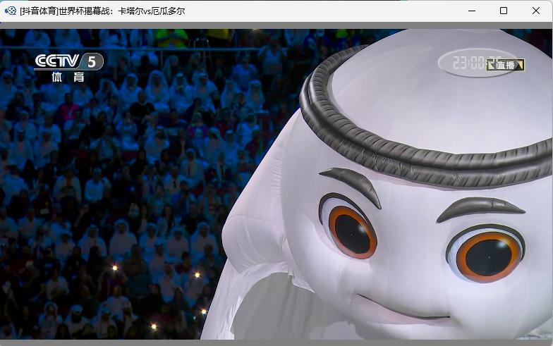 抖音怎么回放世界杯,如何在抖音直播世界杯