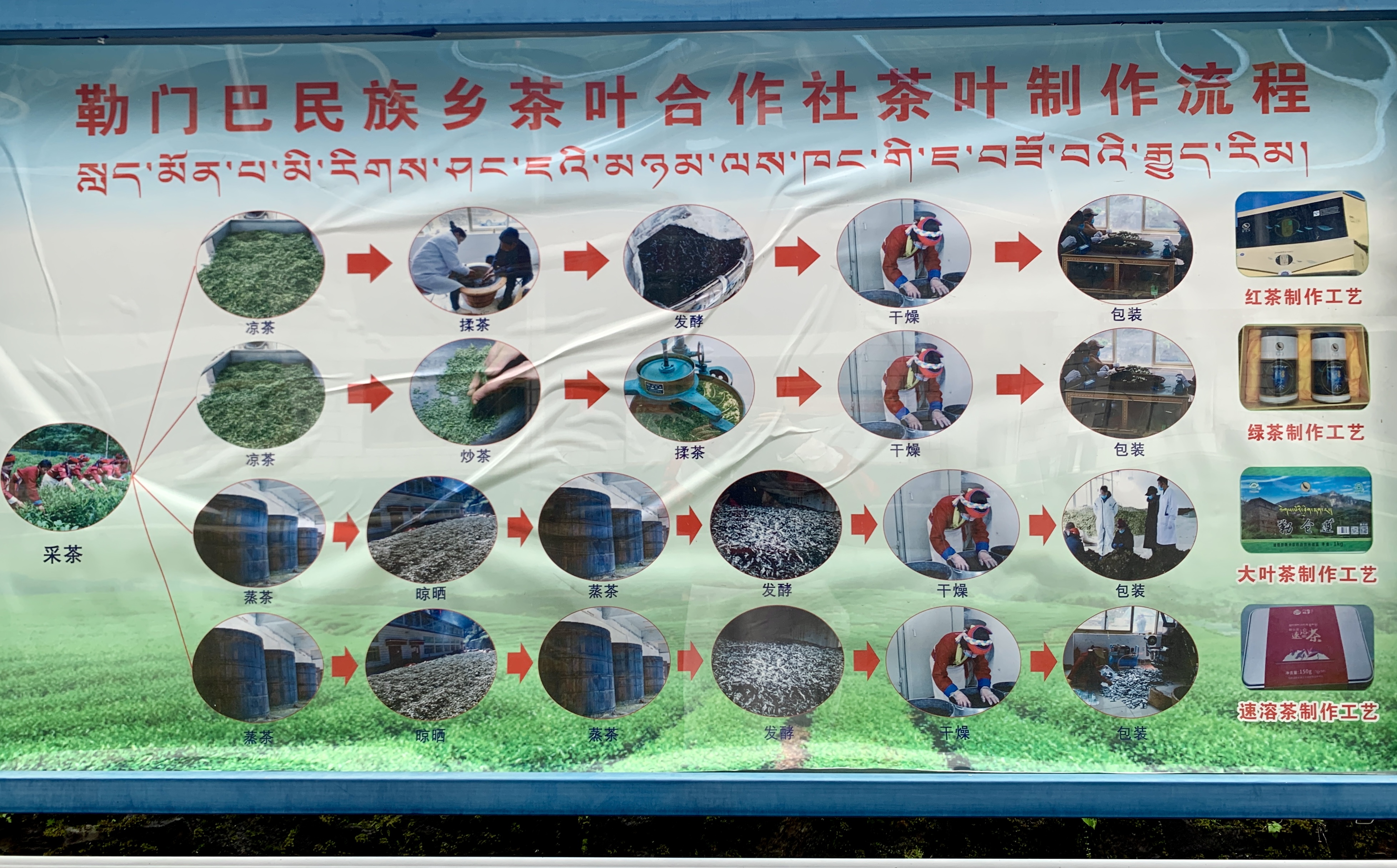 云南最高海拔的茶叶,海拔最高的茶叶产地在哪里