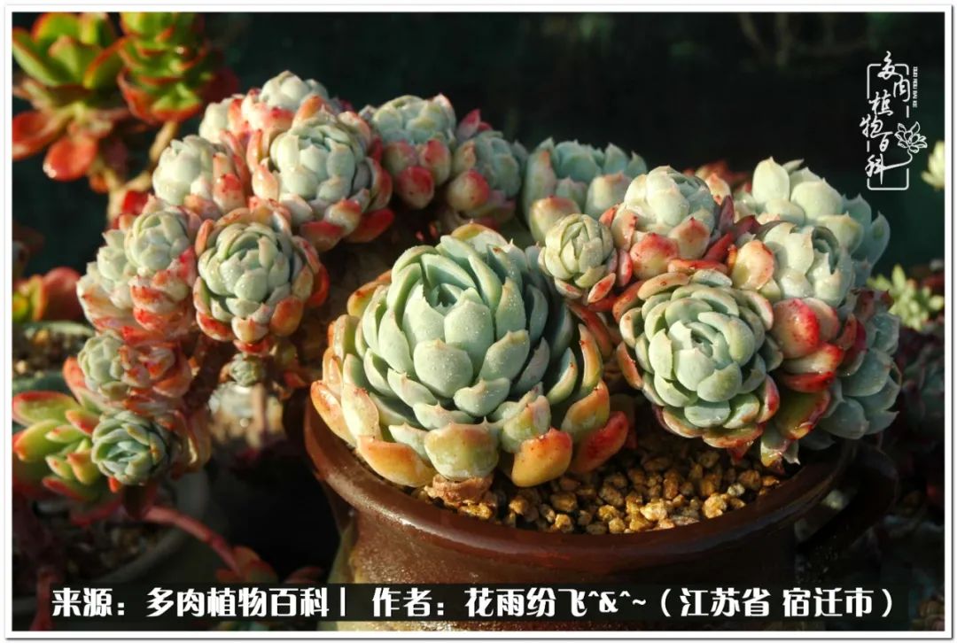 回味童年无忧无虑的快乐时光,童年最快乐的时光