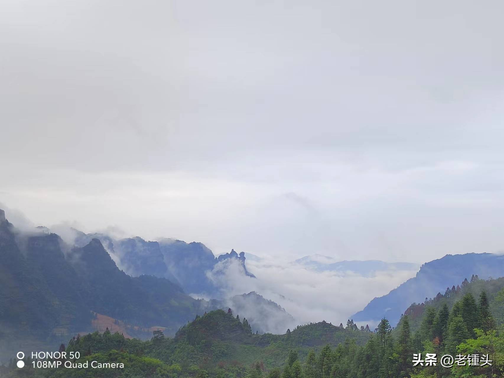 心悦普洱茶,心悦清补凉