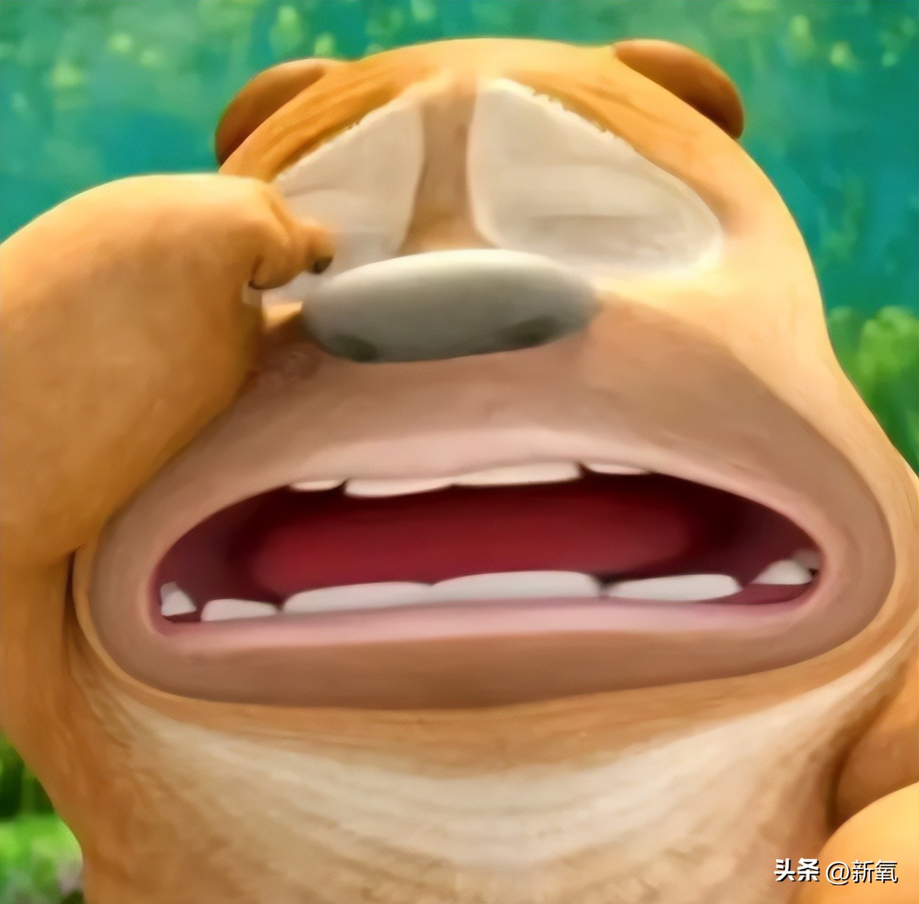 韩国女团服装又惹争议,韩国女团服装都是哪来的