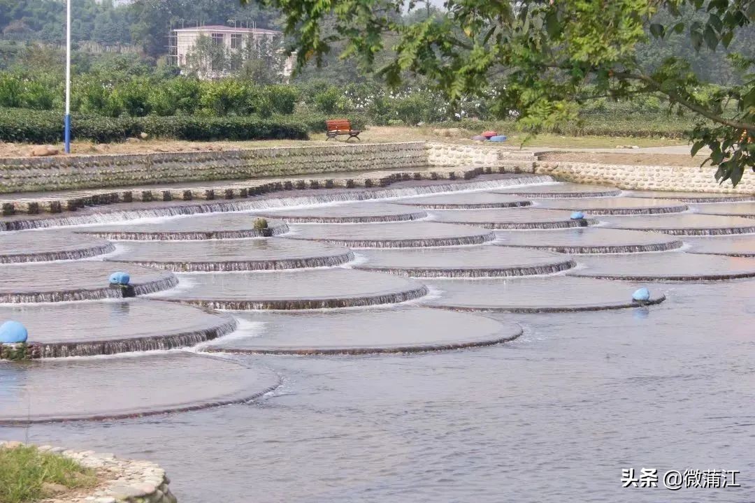 【新蒲江人】成都蒲江县乡村规划师邓小玲:扎根基层10年做乡村和规划之间的“桥梁”