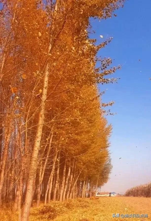 腊月初九谚语,每年的腊月初九都是好日子吗