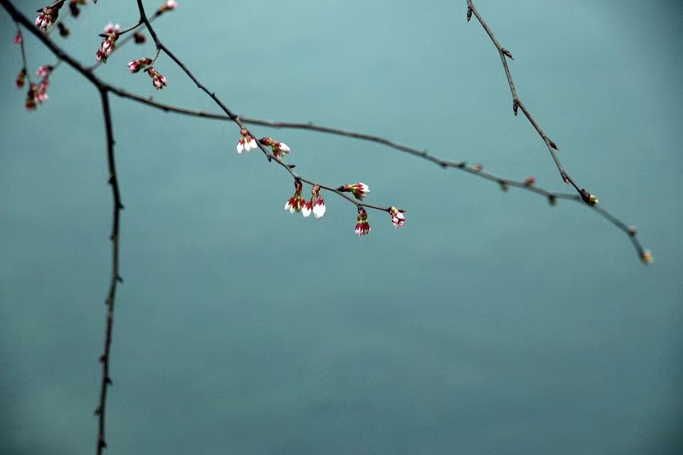 湘西凤凰古镇旅游攻略,我的凤凰之旅凤凰古城游玩攻略