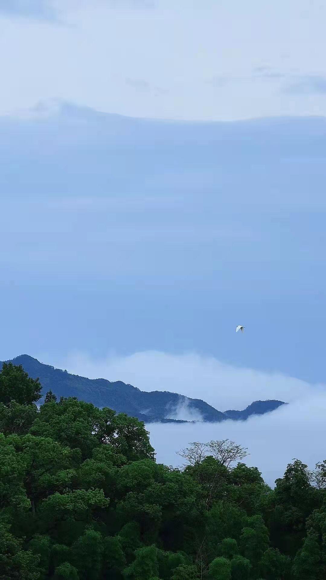 千古巨星正在煎茶，此时菊黄秋高、山寺清幽