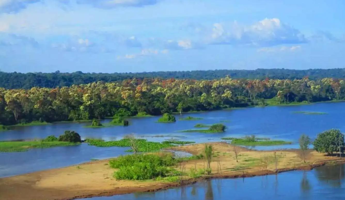 巴西炸出1000斤巨蟒是真的吗,亚马逊河巨大的蟒蛇有多恐怖视频