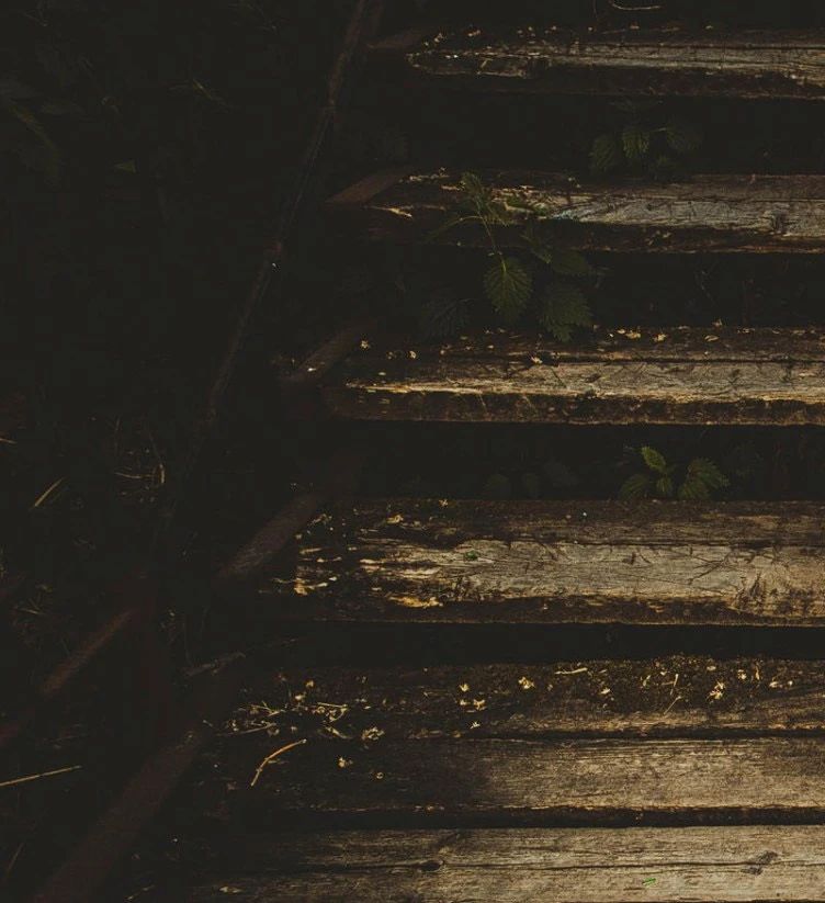 三不照的制作过程,三不照