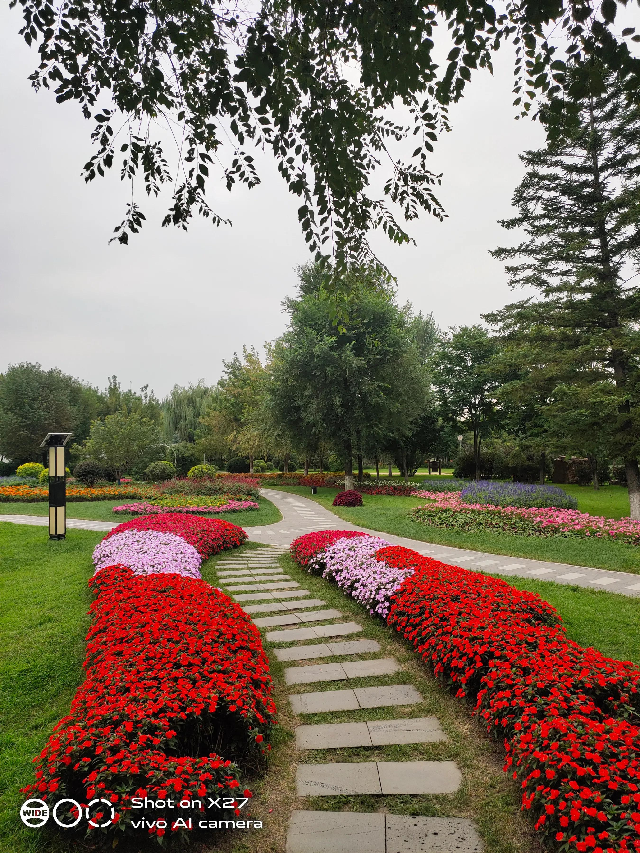 鎵嬫媿涓栫晫鎽勫奖浜ゆ祦骞冲彴,鎵嬫媿涓栫晫鎵嬫満鎽勫奖骞冲彴