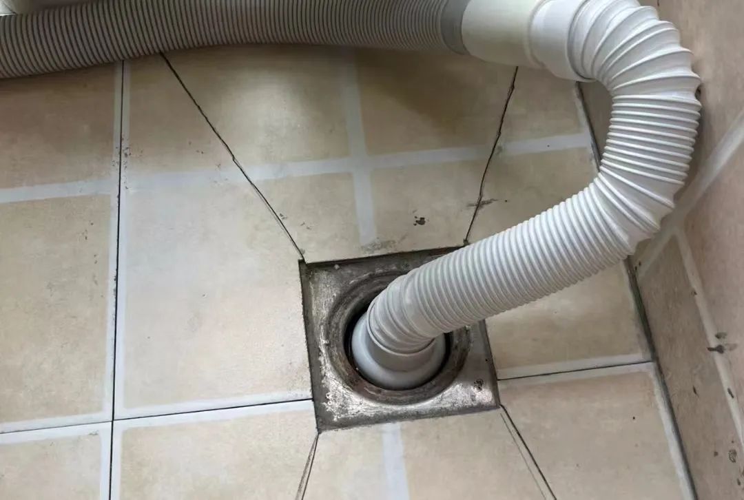 家里蟑螂太多怎么才能根除蟑螂,家里有蟑螂怎样能彻底消灭小技巧