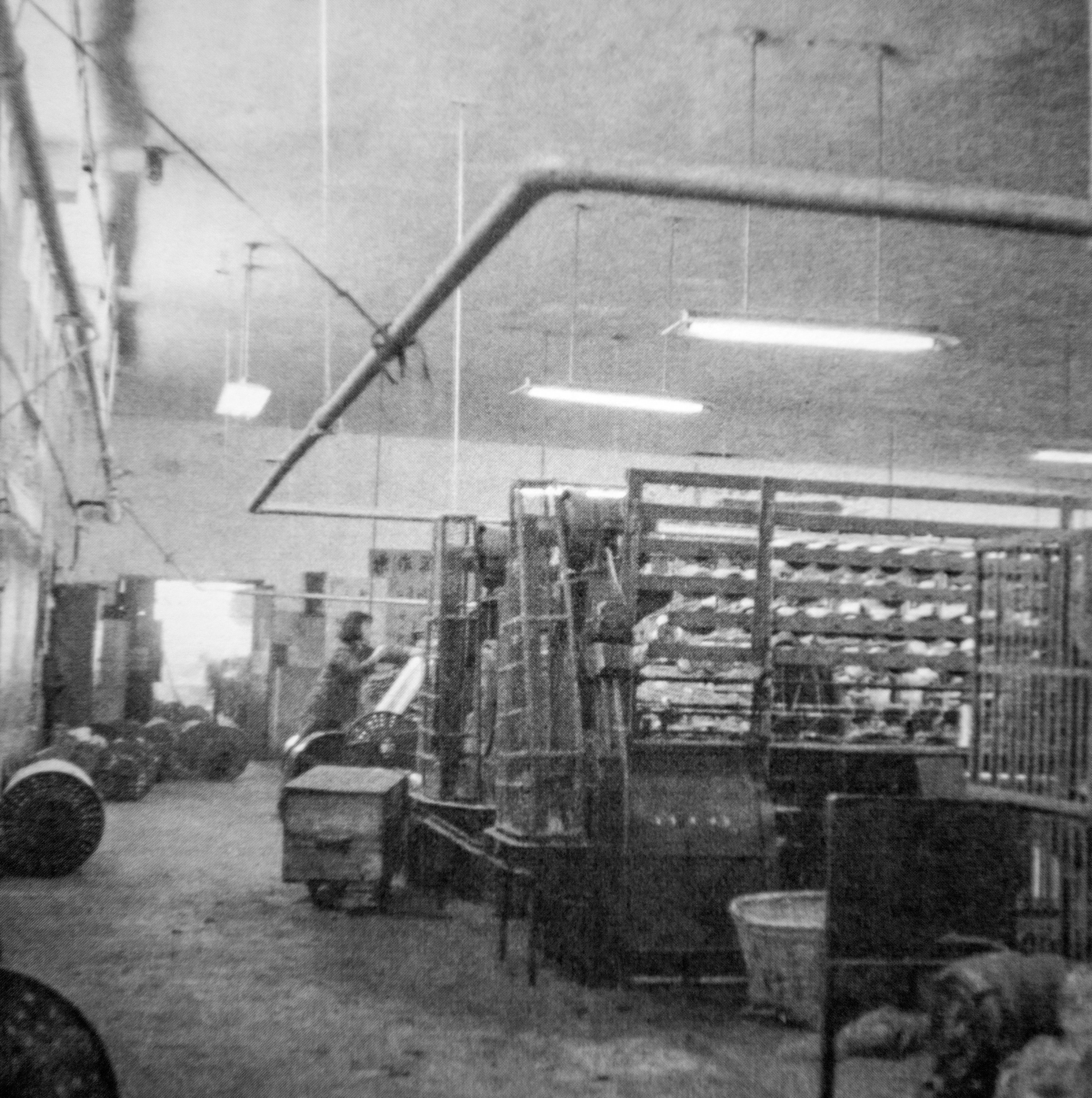 中国第一毛纺厂,中国第一家涤纶厂