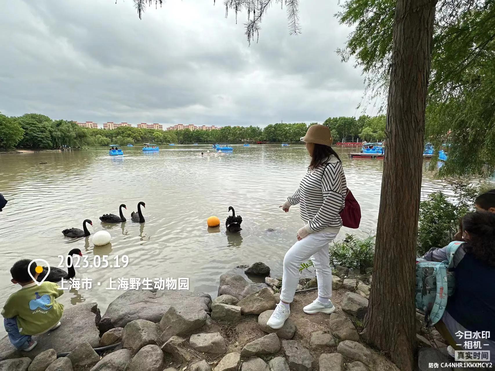 我喜爱的动物是小猫,什么动物招人喜爱