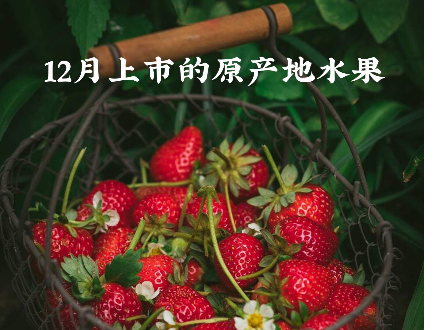 12月现在季节吃什么水果,12月什么水果最好吃最便宜