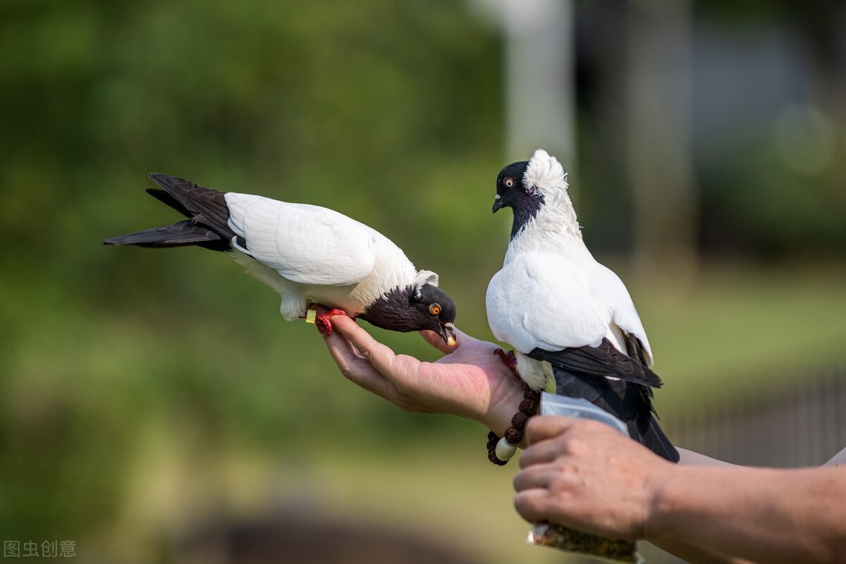 各个国家的国宝大全,世界上的各个国家的国宝