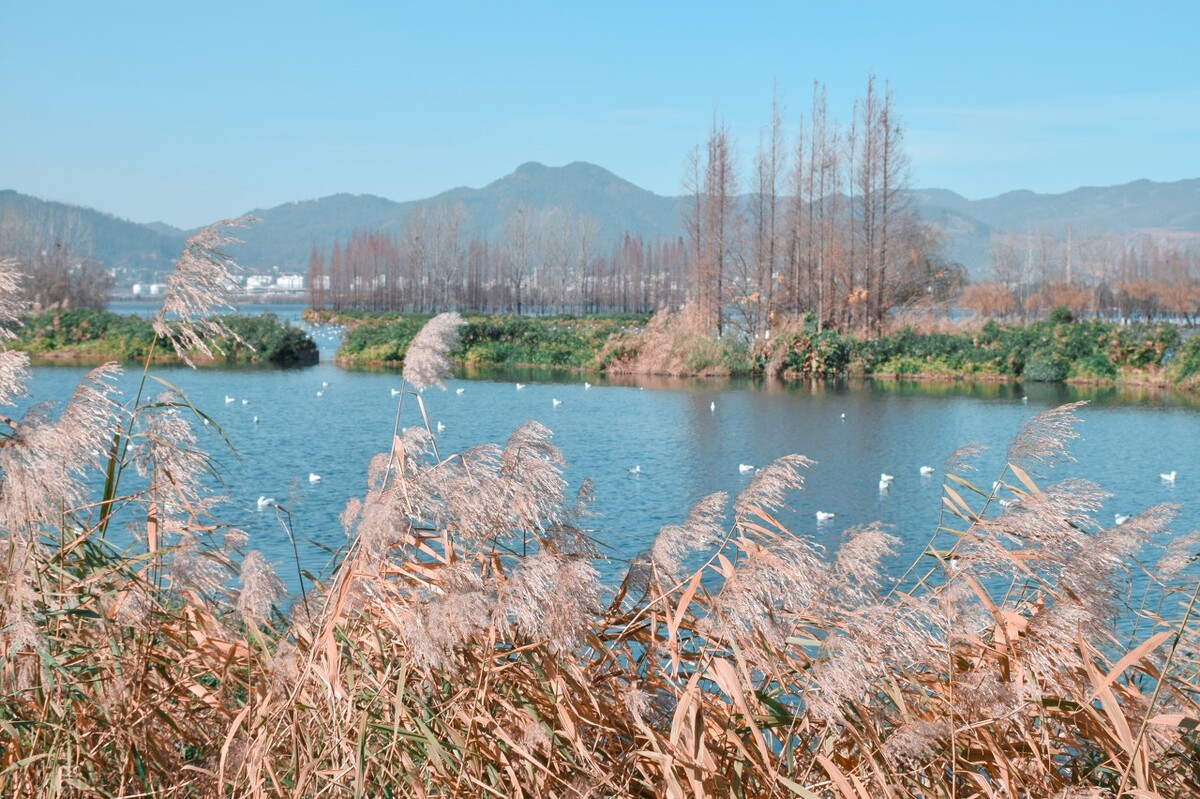 云南昆明春城游玩攻略,春城之约昆明旅游攻略