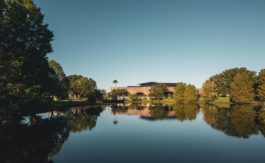 typology涓枃,typology