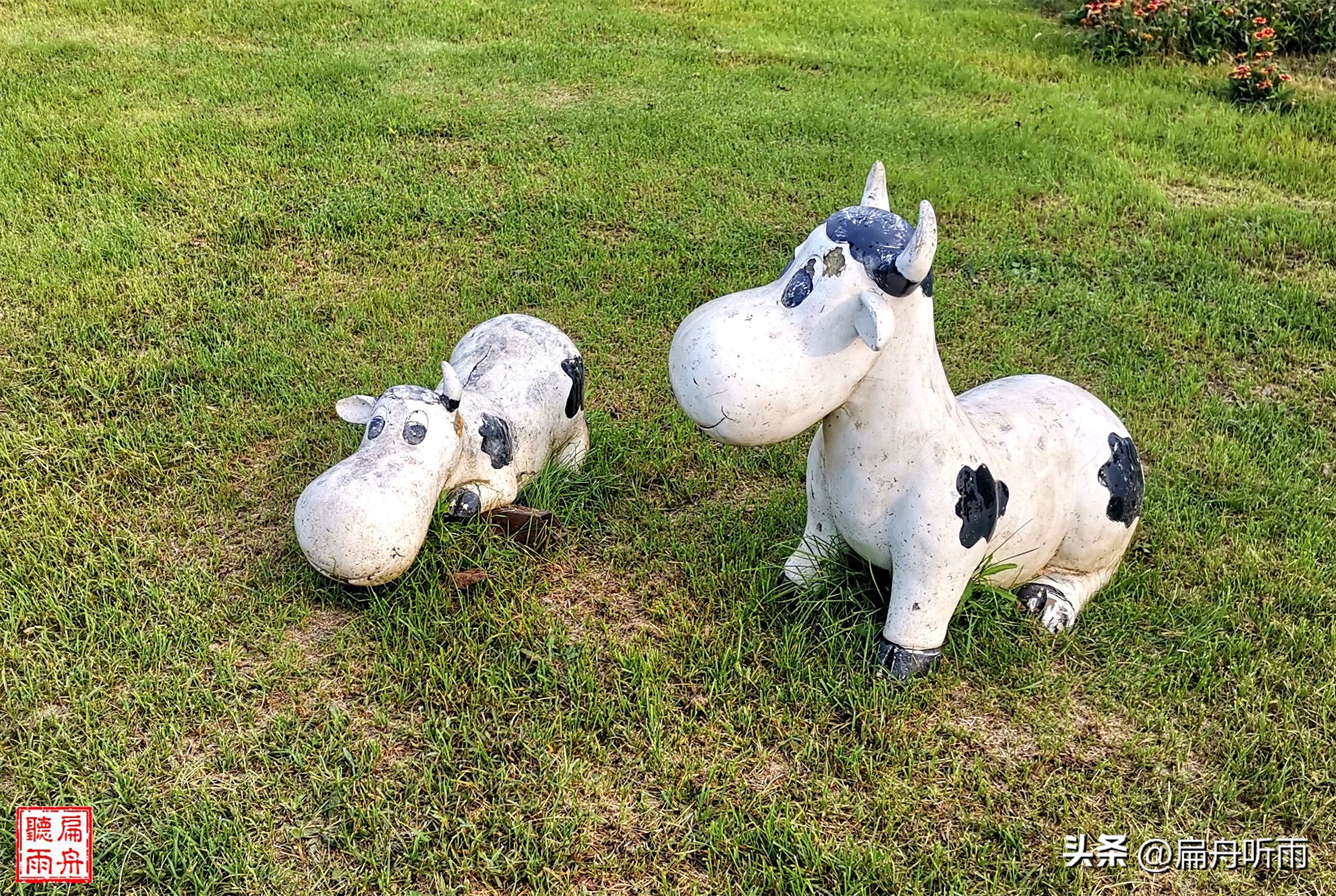 山西省晋城市司徒小镇园区,晋城泽州司徒小镇