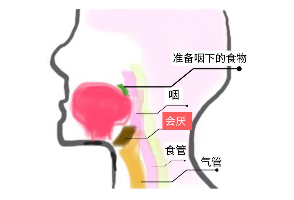阳后喉咙痛会持续多久,半夜喉咙干疼要警惕四种疾病