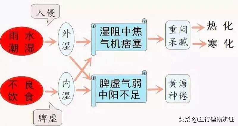 盗汗白汗用哪三味中药,除湿补气盗汗三味中药