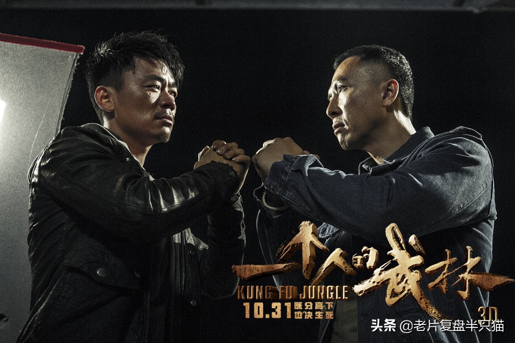 推荐几部甄子丹最能打的动作电影,甄子丹拍过三部巅峰时期动作片