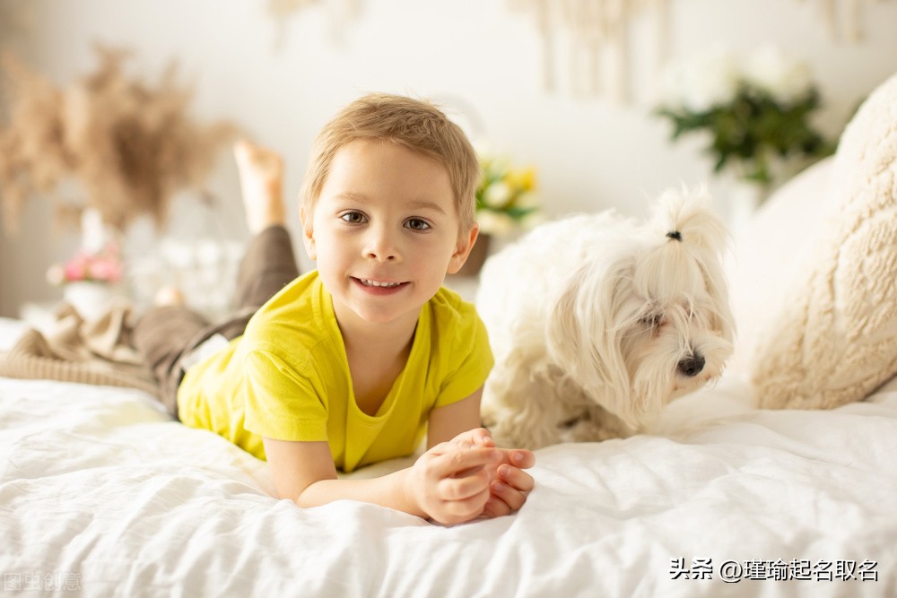 虎年男孩名字大全用宇字起名,带翔字的男孩名字寓意
