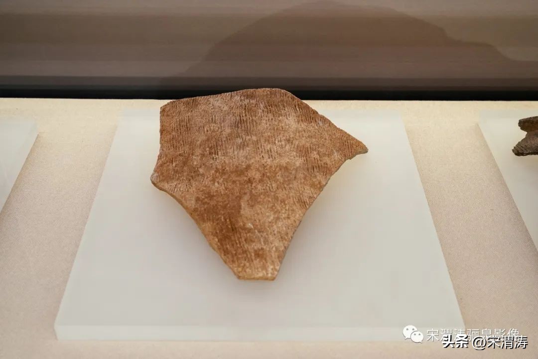 宋渭涛拍摄的照片,宋渭涛手机摄影