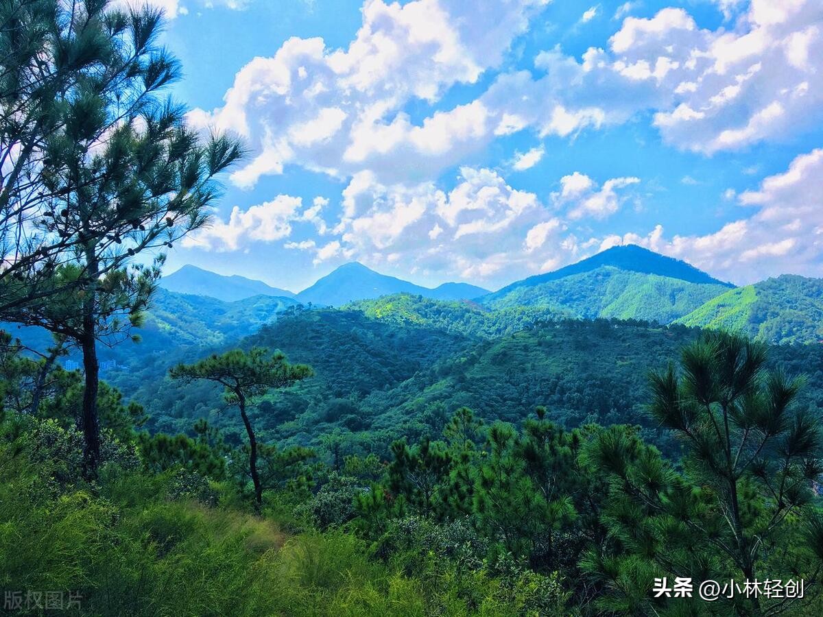 茂名旅游景点推荐免费的,广东茂名旅游景点排名前十名大全