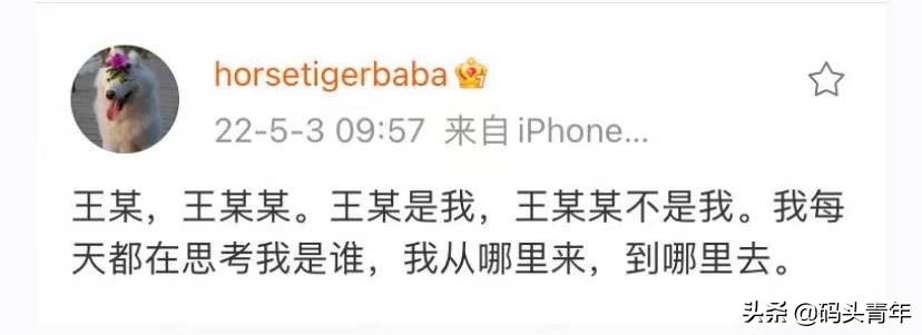 央视报道杭州马某涉嫌煽颠国家政权,马云“躺枪”阿里大跌