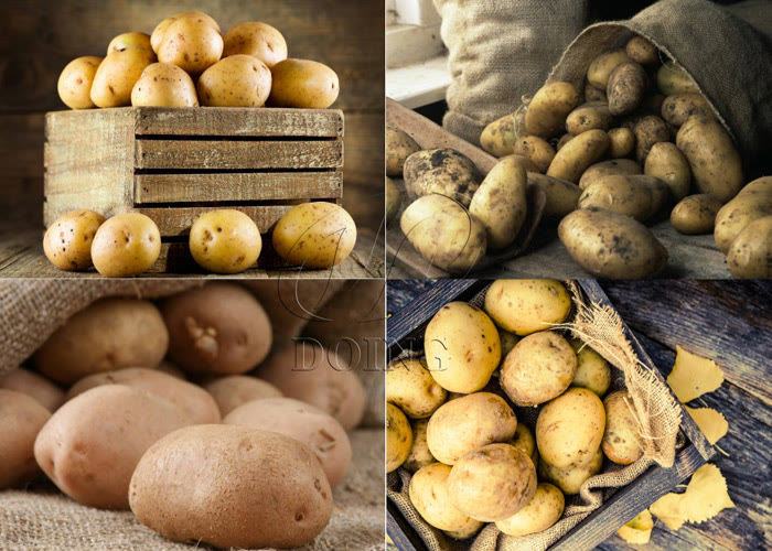 马铃薯淀粉加工技术有哪些,土豆加工淀粉的前景