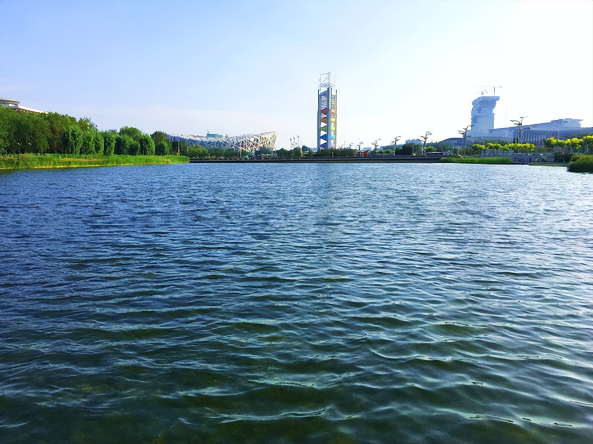 去奥林匹克公园能看到水立方吗,从奥林匹克塔看奥林匹克公园