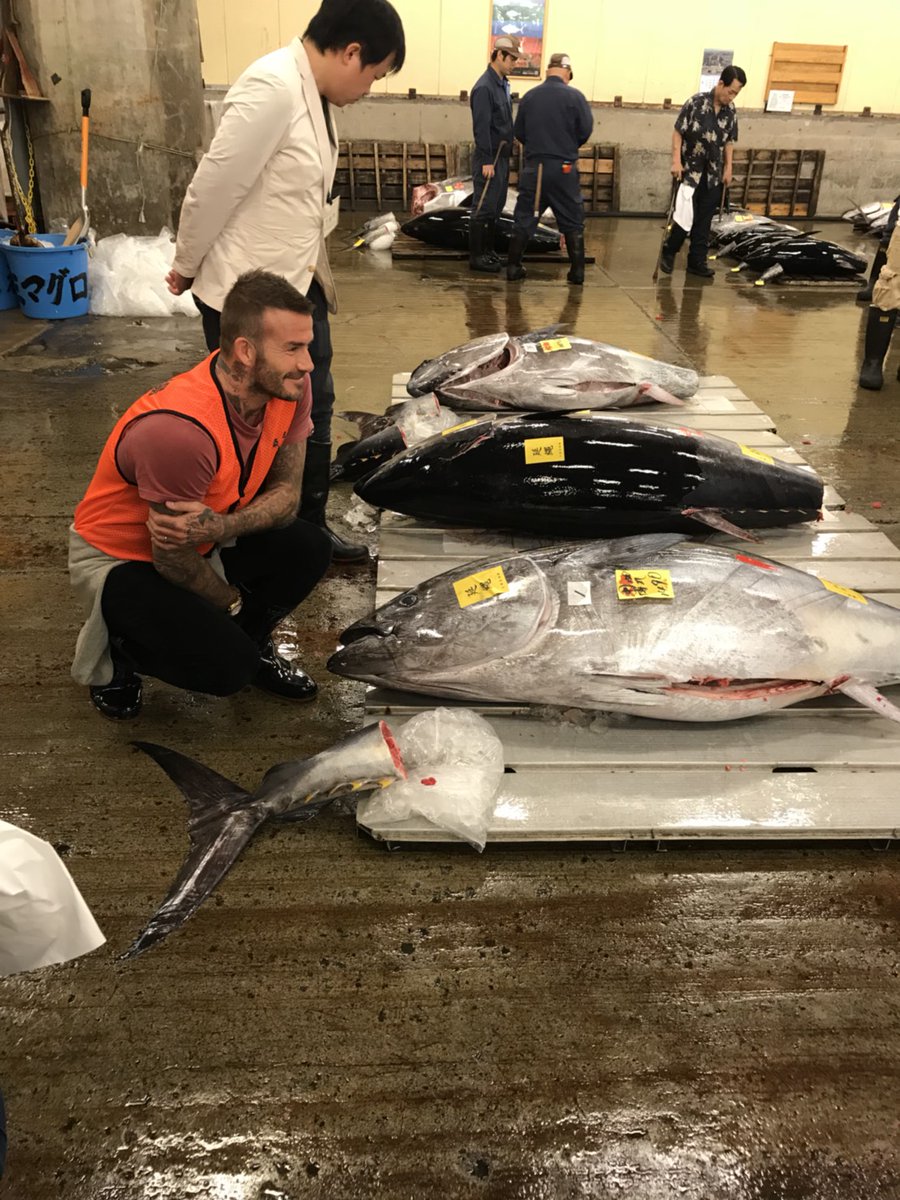 贝克汉姆年轻帅照机场,贝克汉姆帅气有型