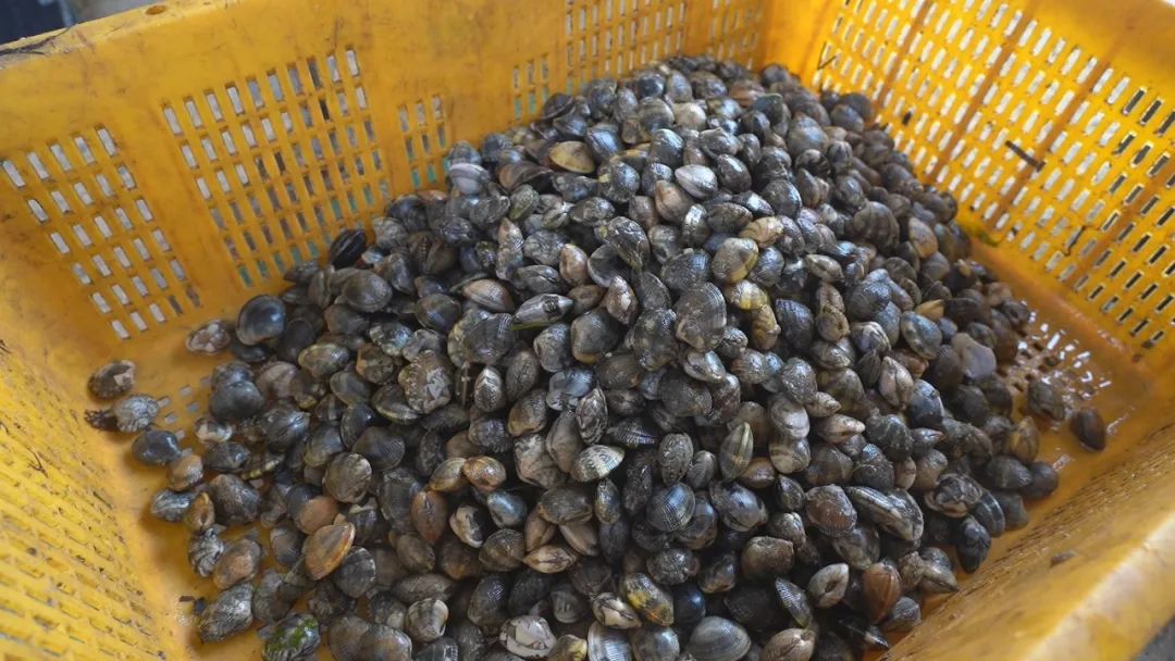 海边城市吃海鲜推荐,海边适合吃海鲜的小众城市