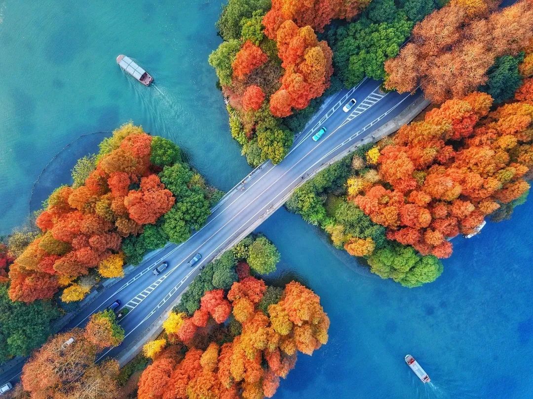 这还是你认识的合肥吗,这还是你认识的蜜雪冰城吗