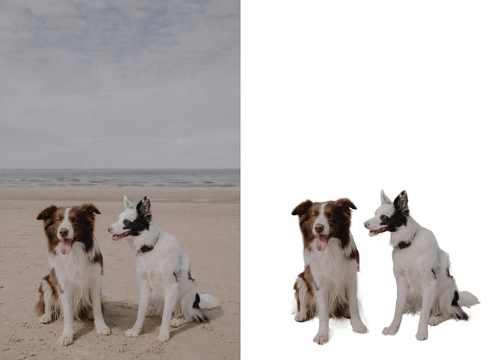 新手小白如何抠图做效果图,ps小白沉浸式抠图