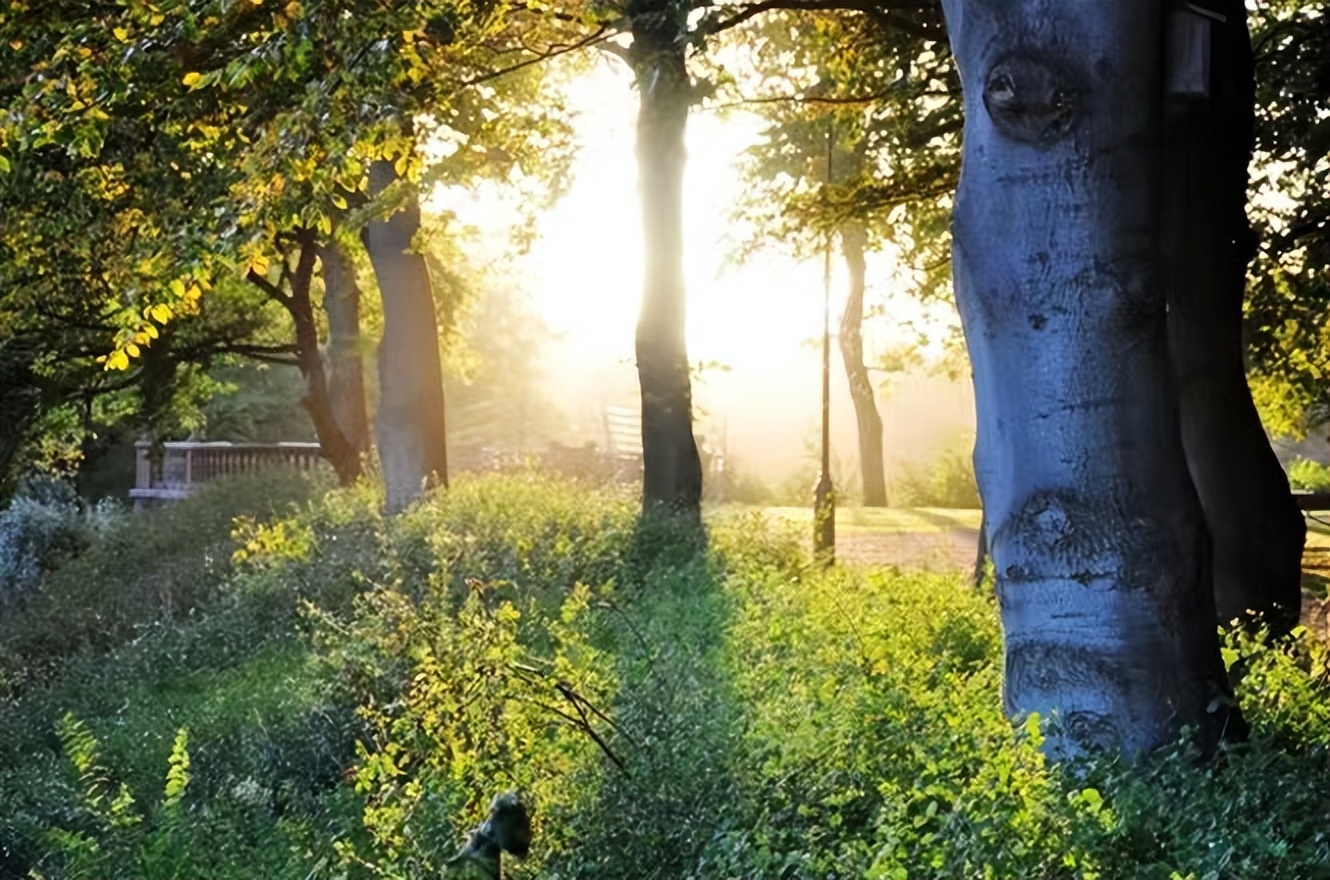 世界国家地理排名前十,全世界国家地理排名