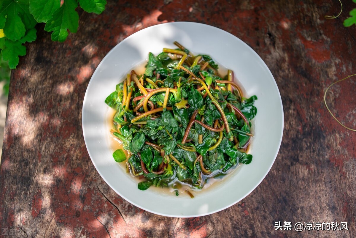 吃马齿苋多了好不好,马齿苋生吃和熟吃一样吗