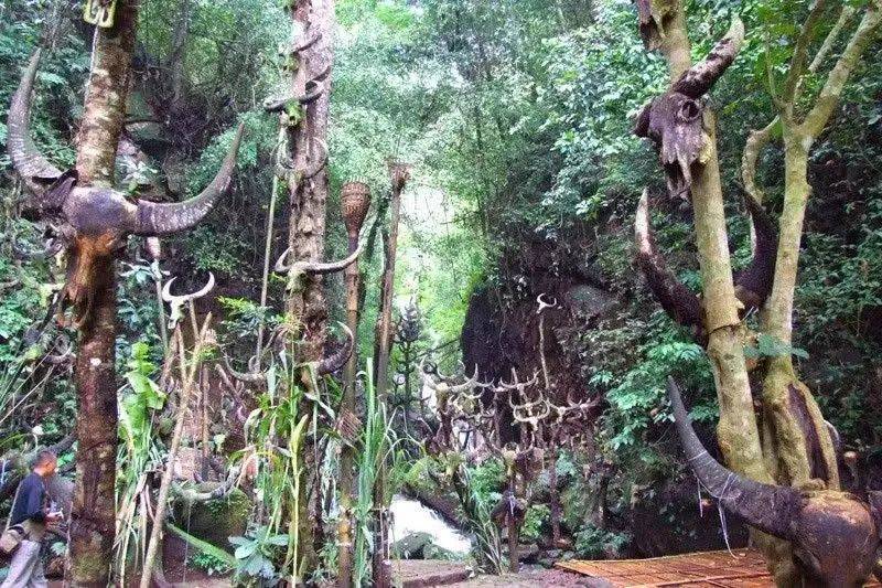 鏅幢涓栫晫鑼舵簮,澶╄祼鏅幢涓栫晫鑼舵簮