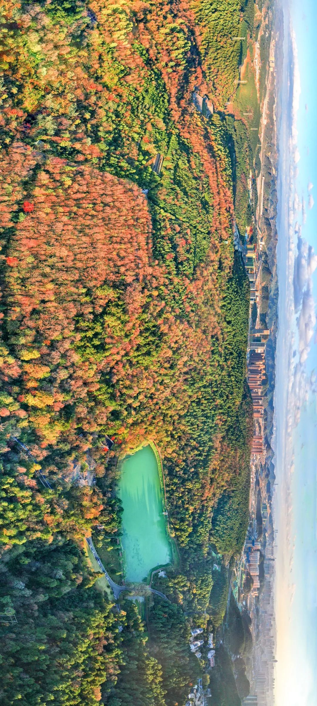 绿色狂想曲,绿色狂想曲三年级