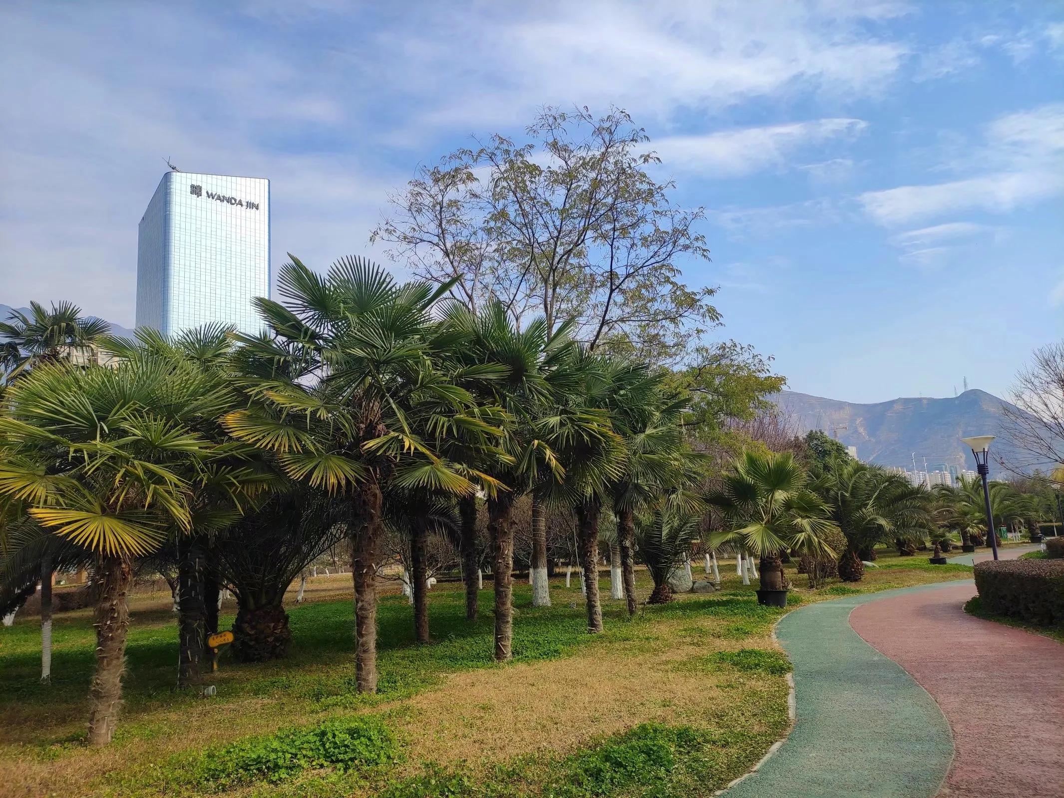 去陇南两日旅游最好攻略,旅游陇南冬天