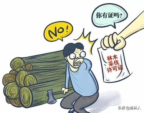 别墅院子砍树合法吗,自家的树砍树合法吗