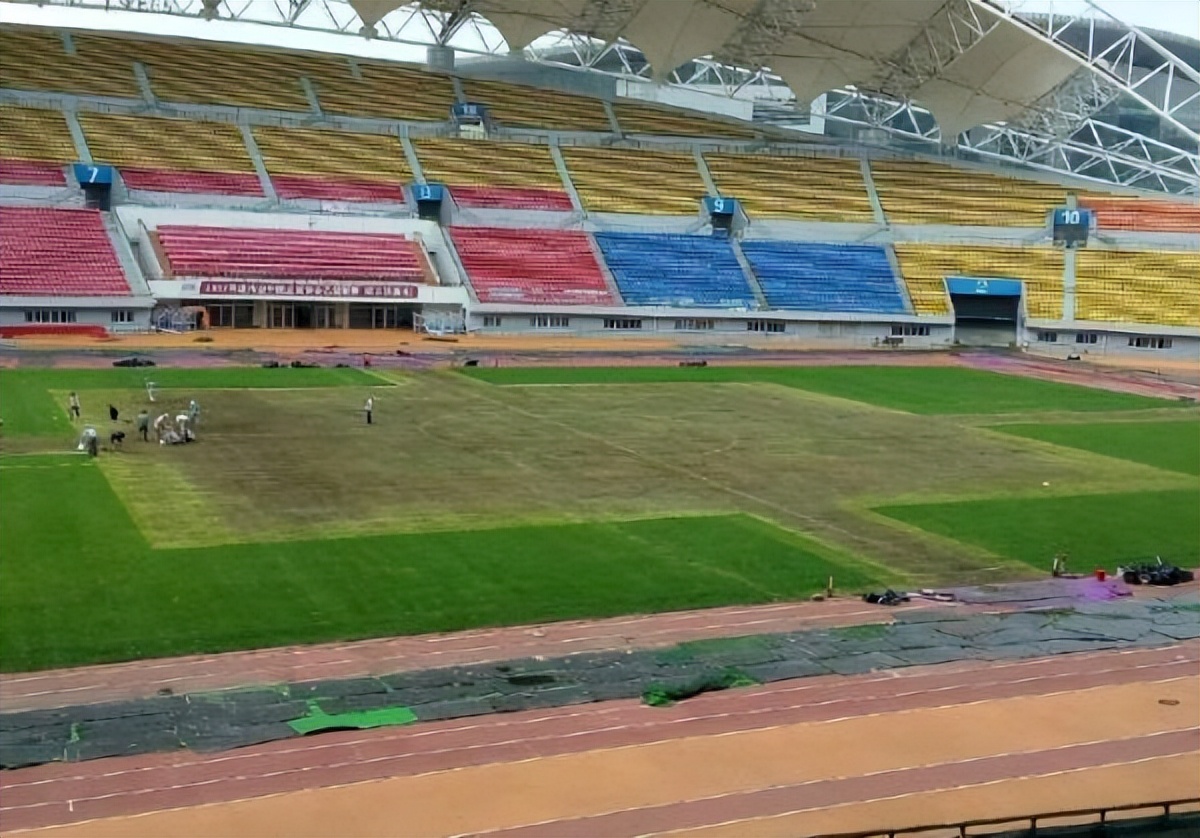 成都蓉城主场草皮铲除,成都蓉城球场草皮