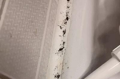 窗户关严实漏风,窗户有冷风怎么处理