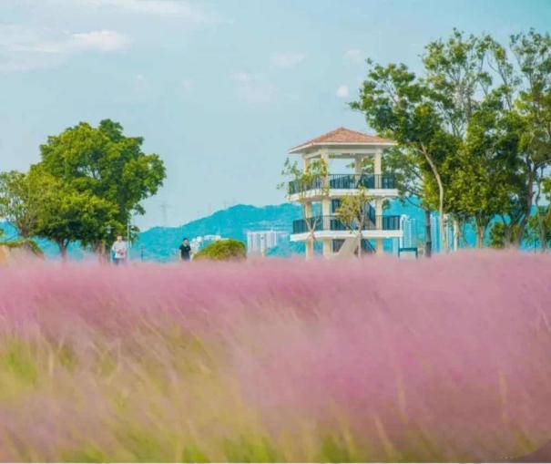 深圳绿色公园,深圳宝安值得去的公园