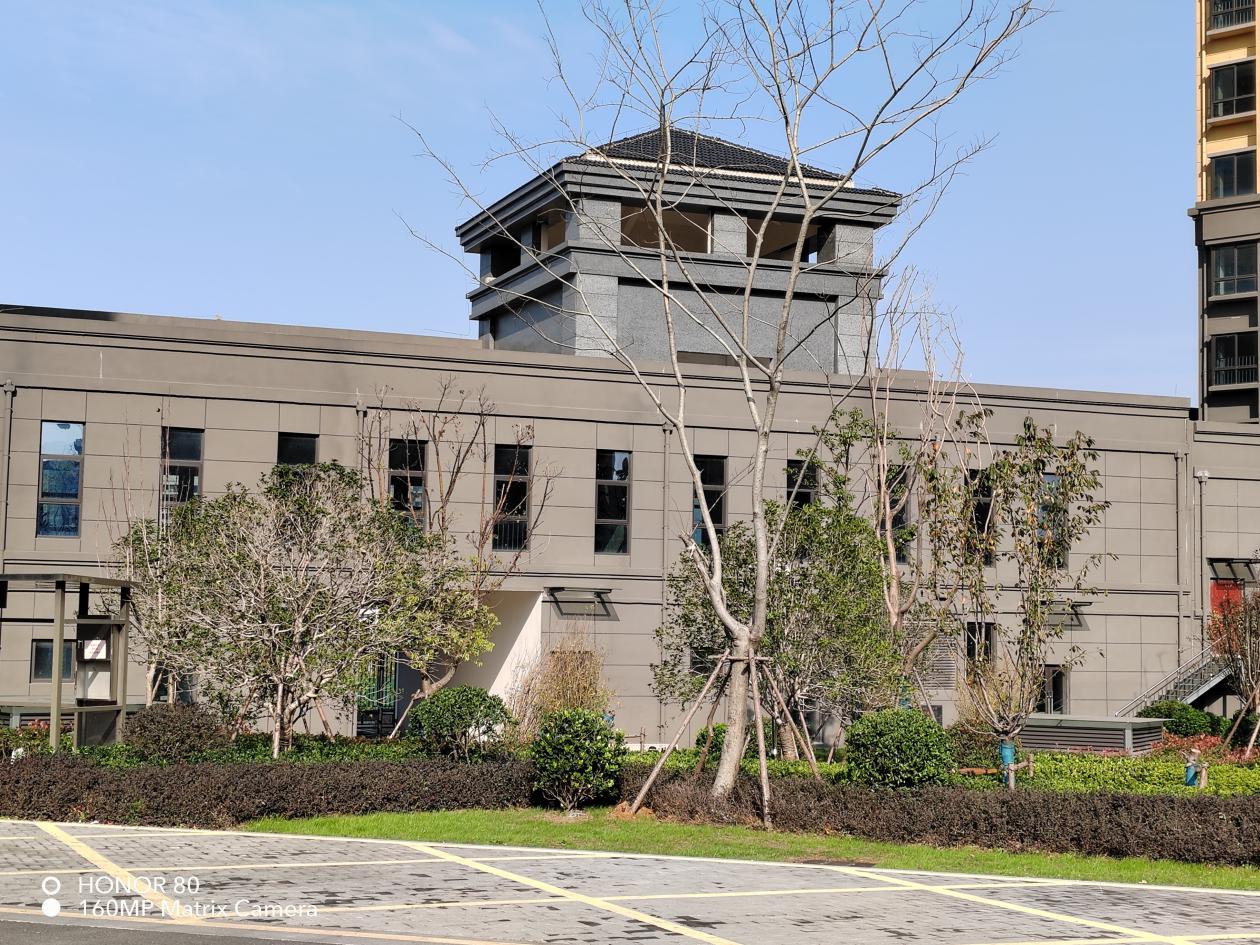 荣耀80新品测试,荣耀80真机体验